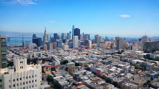 Where Do Human Insights Lead? (Youtube Video)