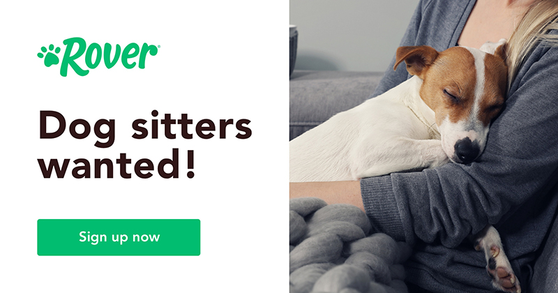 Rover dog sitter sign up